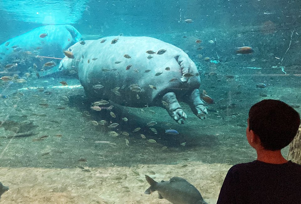Aquarium near NYC: Adventure Aquarium