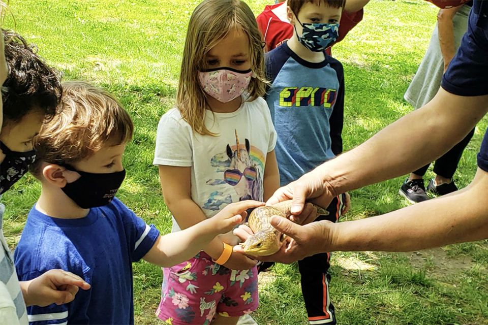 Nature Centers in Westchester to Explore With Kids Little animal lovers go crazy for the collection at the Weinberg Nature Center, which counts toads, chinchillas, bunnies, and more among its 40+ residents.
